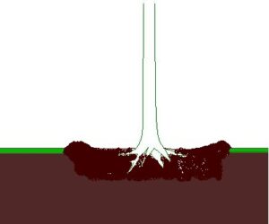 Plantput2