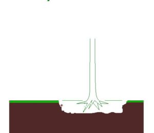 plantput
